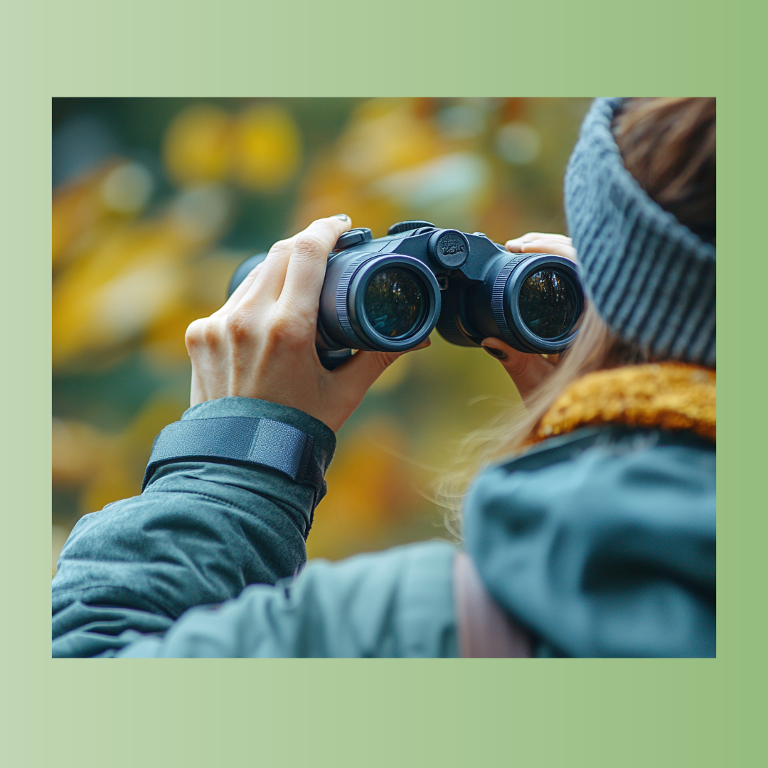 Best Birdwatching near the Royal Gorge